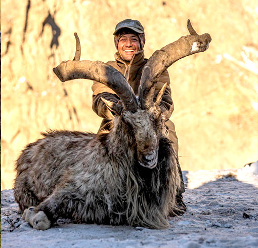 Astor-markhor
