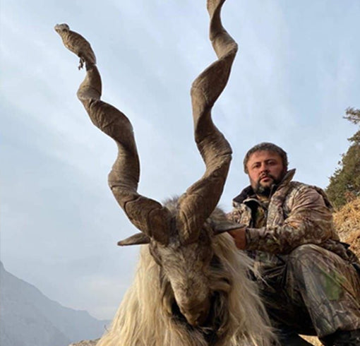 Turkestan Markhor