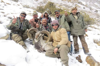 astore markhor 9