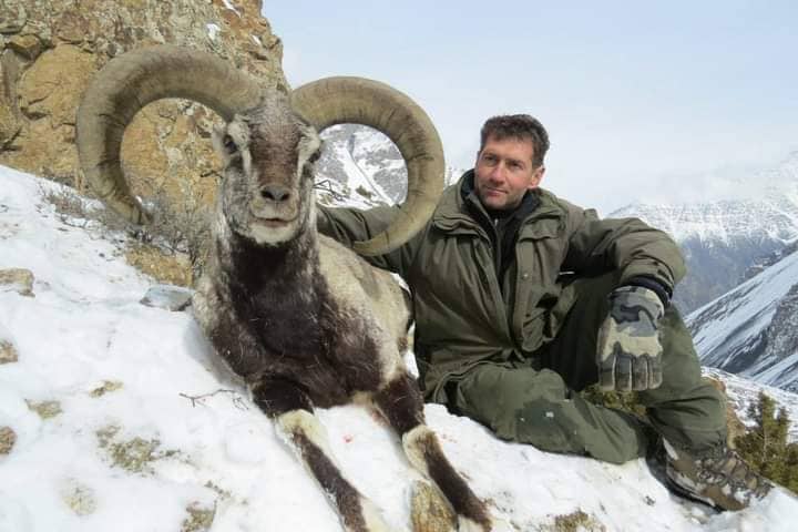 astore markhor (3)